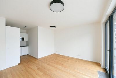 U průhonu, Holešovice - Prague 7 | Rent, Apartment One-bedroom (2+kk), 61 m²