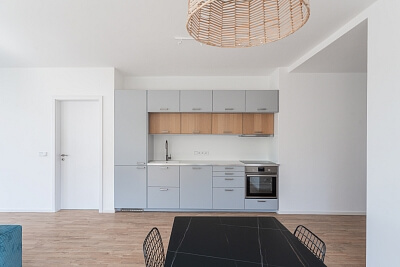 Na hřebenech I, Podolí - Prague 4 | Rent, Apartment One-bedroom (2+kk), 98 m²