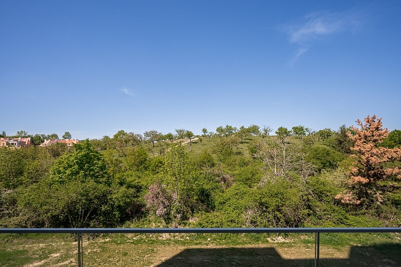 V Třešňovce, Hrdlořezy - Praha 9 | Pronájem, Byt 1+kk, 45 m²