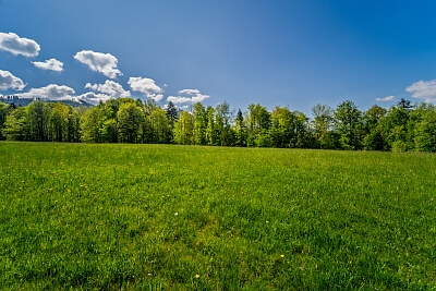 Malenovice - Frýdek-Místek | Sale, Land, 45 148 m²