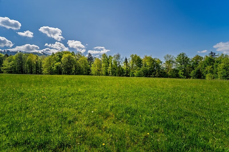 Malenovice - Frýdek-Místek | Prodej, Pozemek, 45 148 m²