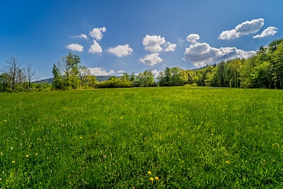 Malenovice - Frýdek-Místek | Prodej, Pozemek, 45 148 m²