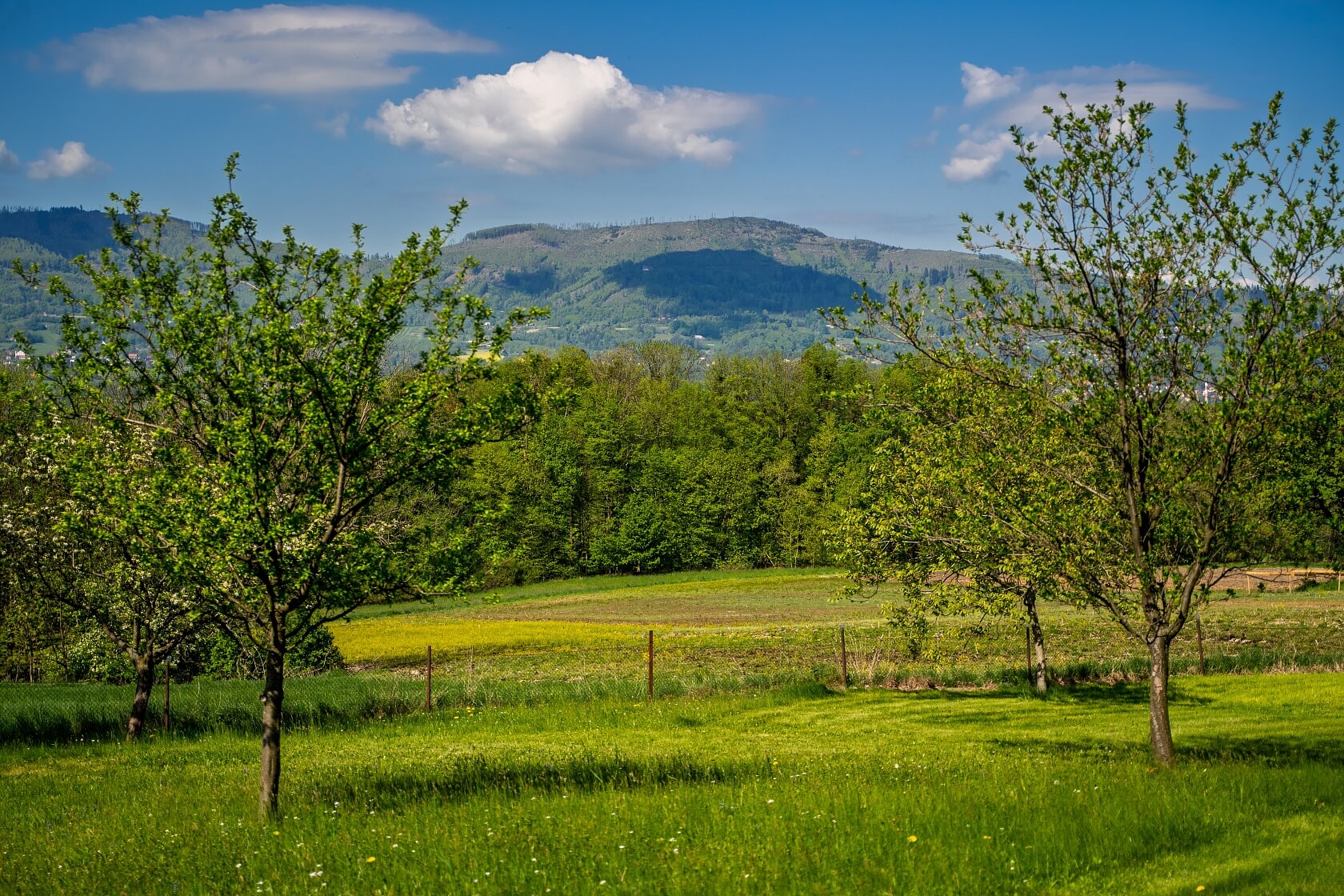 Malenovice - Frýdek-Místek | Prodej, Pozemek, 45 148 m²