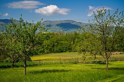 Malenovice - Frýdek-Místek | Prodej, Pozemek, 45 148 m²