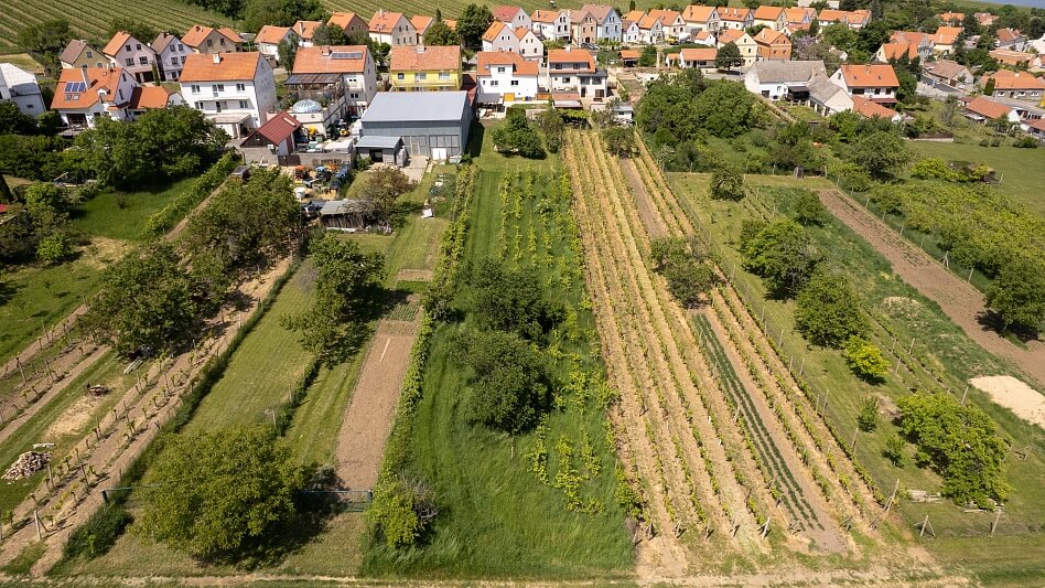Rudolfa Gajdoše, Mikulov - Břeclav | Sale, Land, 1 218 m²