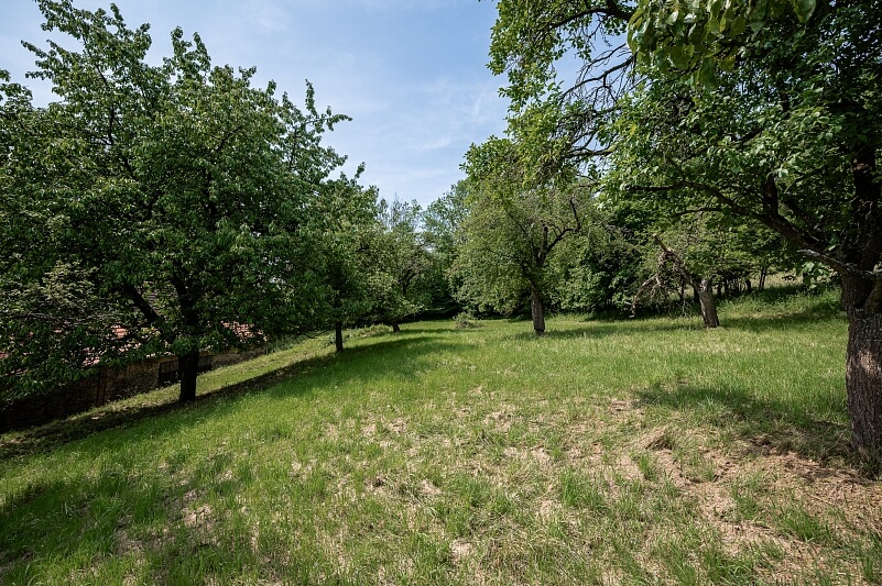 Soběhrdy - Benešov | Sale, House, 620 m²