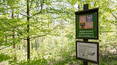 Hostěnice - Brno-venkov | Sale, Land, 3 101 m²