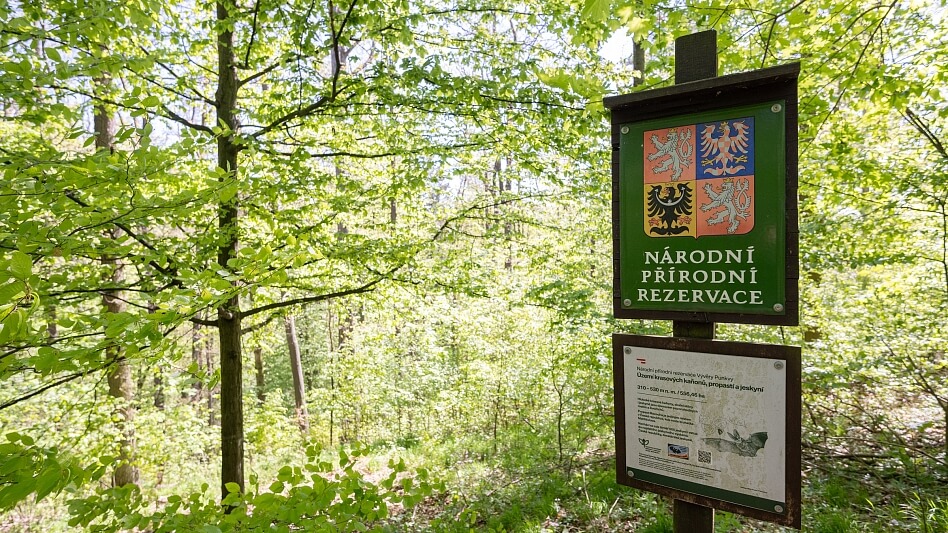 Hostěnice - Brno-venkov | Sale, Land, 3 101 m²