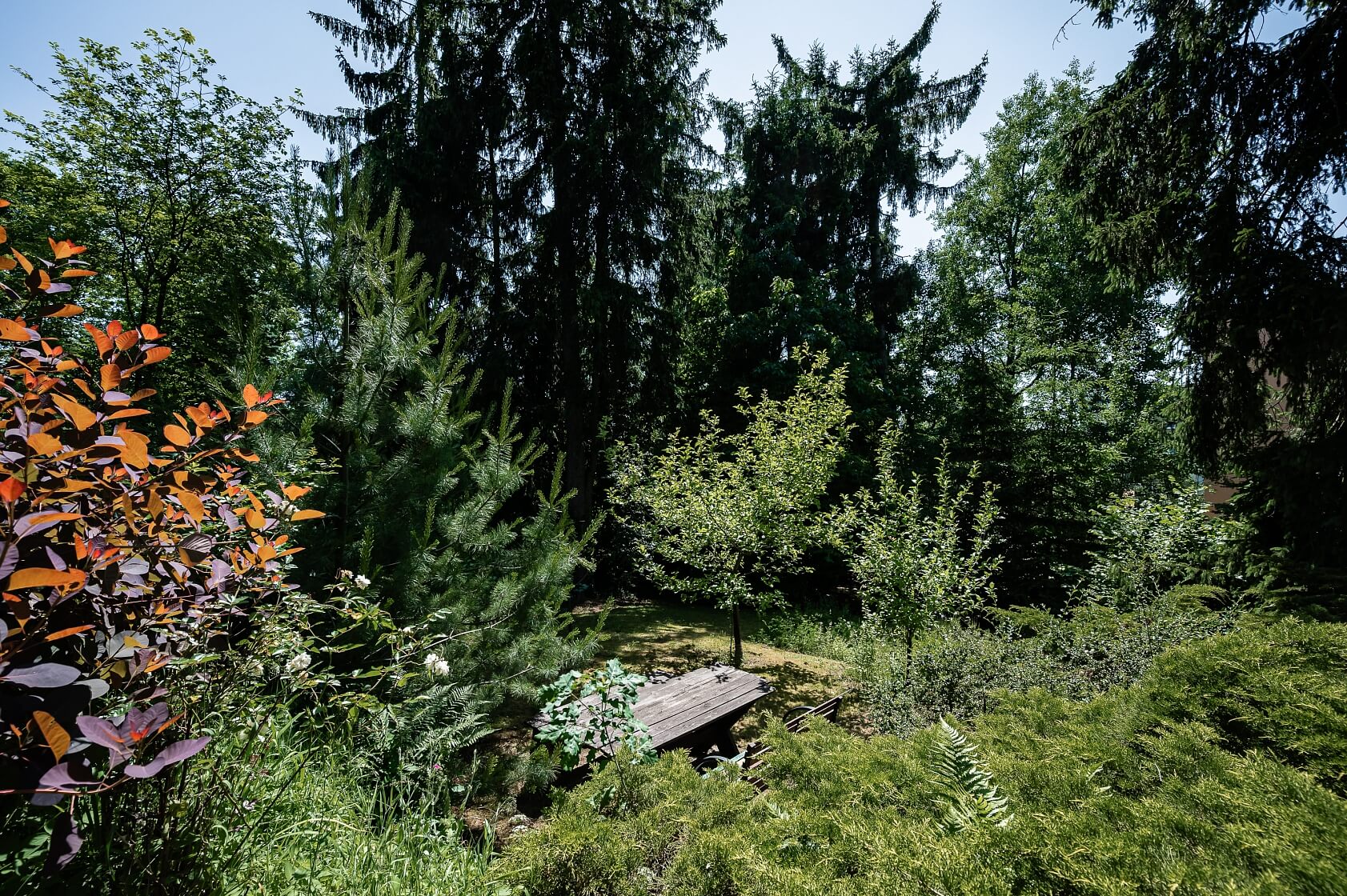 Ringhofferova, Kamenice - Praha-východ | Prodej, Pozemek, 2 486 m²