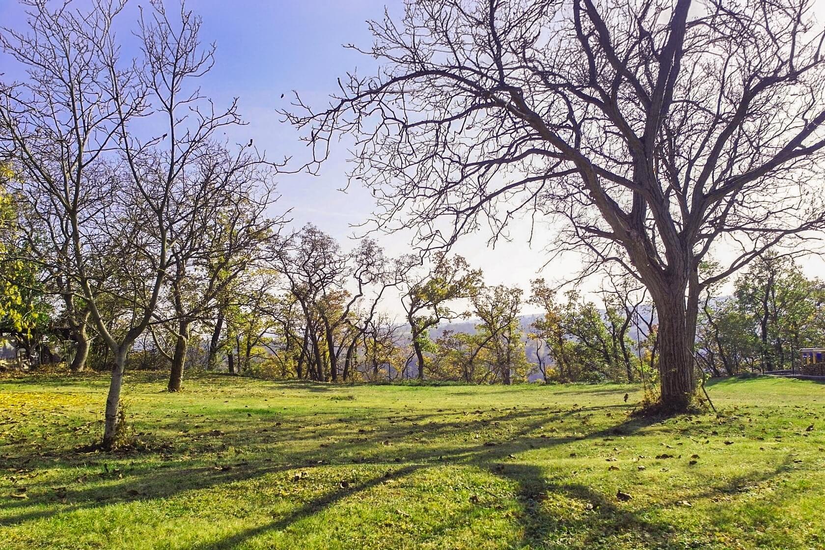 Husinec - Praha-východ | Sale, Land, 1 347 m²