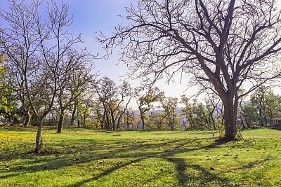 Husinec - Praha-východ | Prodej, Pozemek, 1 347 m²