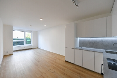 Podkovářská, Vysočany - Prague 9 | Rent, Apartment One-bedroom (2+kk), 51 m²