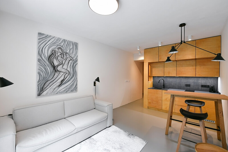 Radlická, Smíchov - Praha 5 | Pronájem, Byt 1+kk, 28 m²