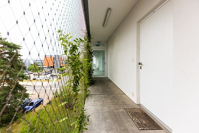 Studentská, Brno - Brno-město | Pronájem, Byt 2+kk, 63 m²