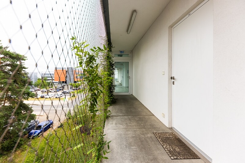 Studentská, Brno - Brno-město | Rent, Apartment One-bedroom (2+kk), 63 m²