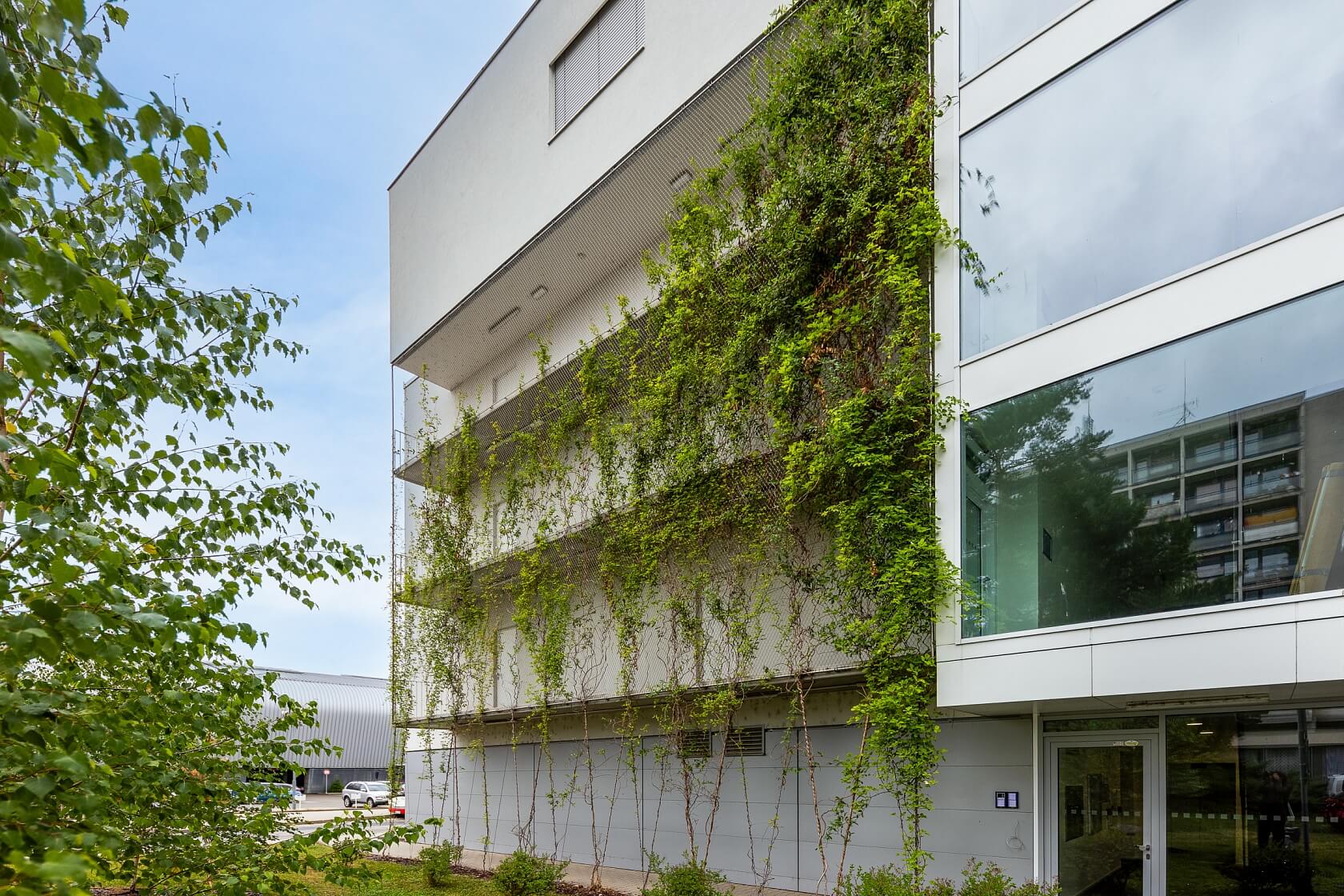 Studentská, Brno - Brno-město | Pronájem, Byt 2+kk, 63 m²