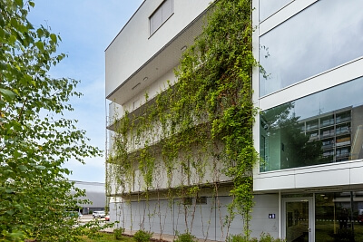 Studentská, Brno - Brno-město | Pronájem, Byt 2+kk, 63 m²