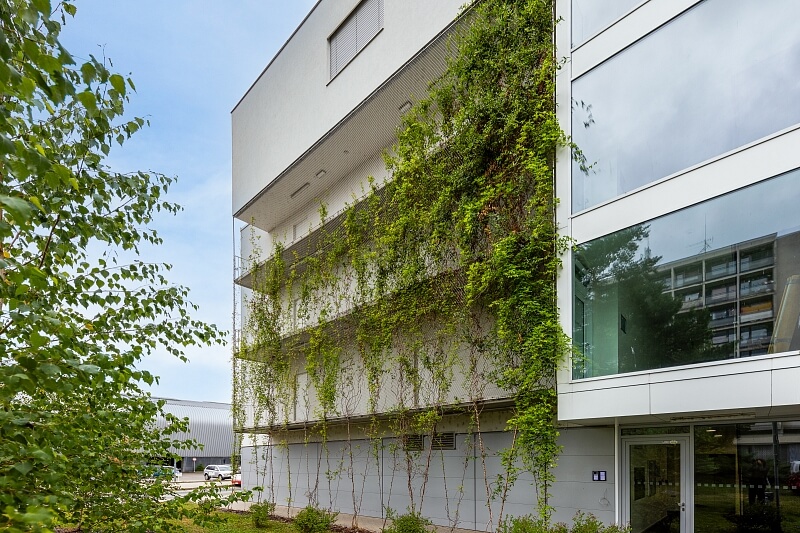 Studentská, Brno - Brno-město | Pronájem, Byt 2+kk, 63 m²