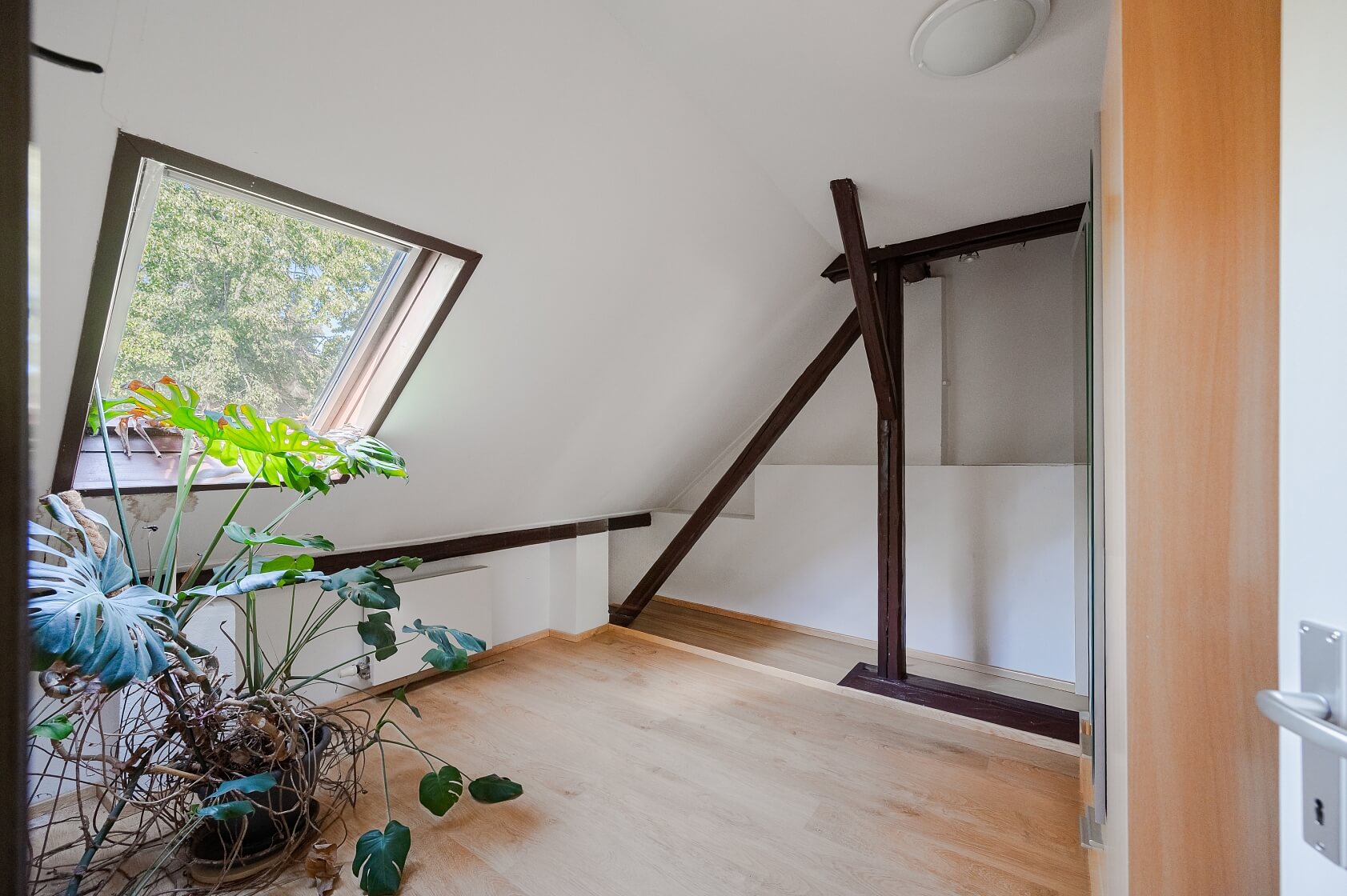 Olšany, Říčany - Praha-východ | Prodej, Rodinný dům 4+1, 285 m²