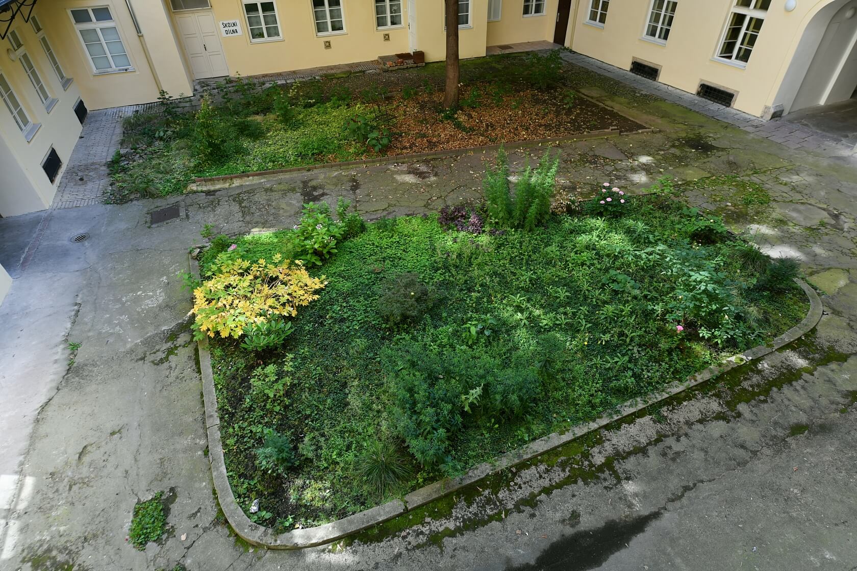 Ostrovní, Nové Město - Praha 1 | Pronájem, Byt 2+kk, 53 m²