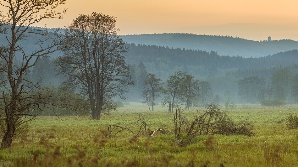 Český les, Bělá nad Radbuzou - Domažlice | Prodej, Pozemek, 4 267 m²