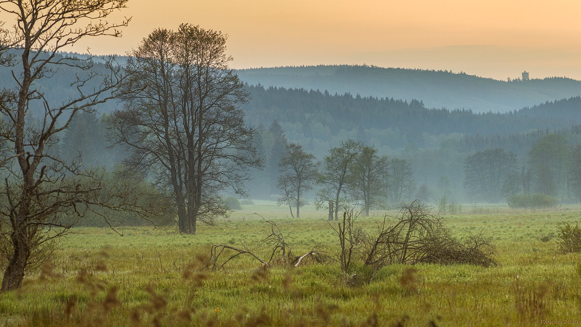 Český les, Bělá nad Radbuzou - Domažlice | Sale, Land, 5 747 m²