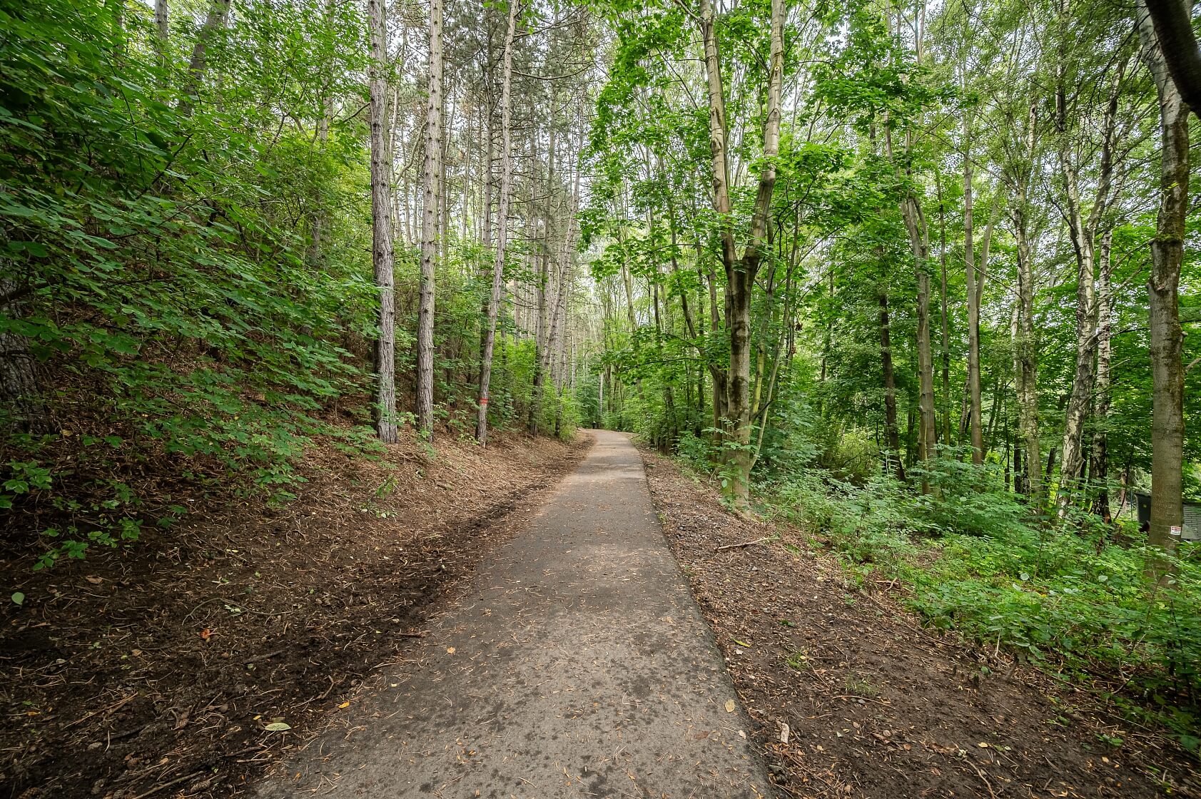 Naskové, Košíře - Prague 5 | Rent, Apartment Two-bedroom (3+kk), 97 m²