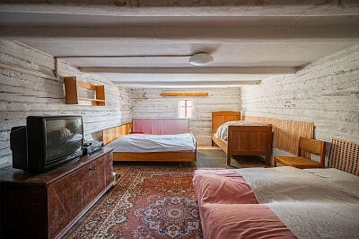 Třebín - Litoměřice | Sale, House Four-bedroom (5+1), 450 m²