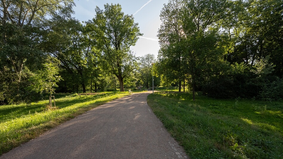 Schodová, Černá Pole - Brno-město | Prodej, Byt 3+1, 145 m²