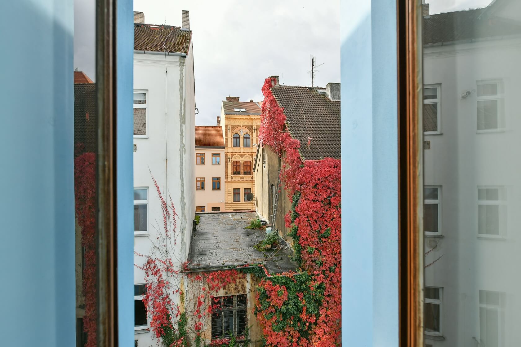 Havlíčkova, Plzeň - Plzeň-město | Sale, Apartment Three-bedroom (4+1), 132 m²