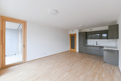 Šiklové, Smíchov - Prague 5 | Rent, Apartment One-bedroom (2+kk), 66 m²