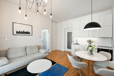 Dalimilova, Žižkov - Prague 3 | Rent, Apartment One-bedroom (2+kk), 49 m²