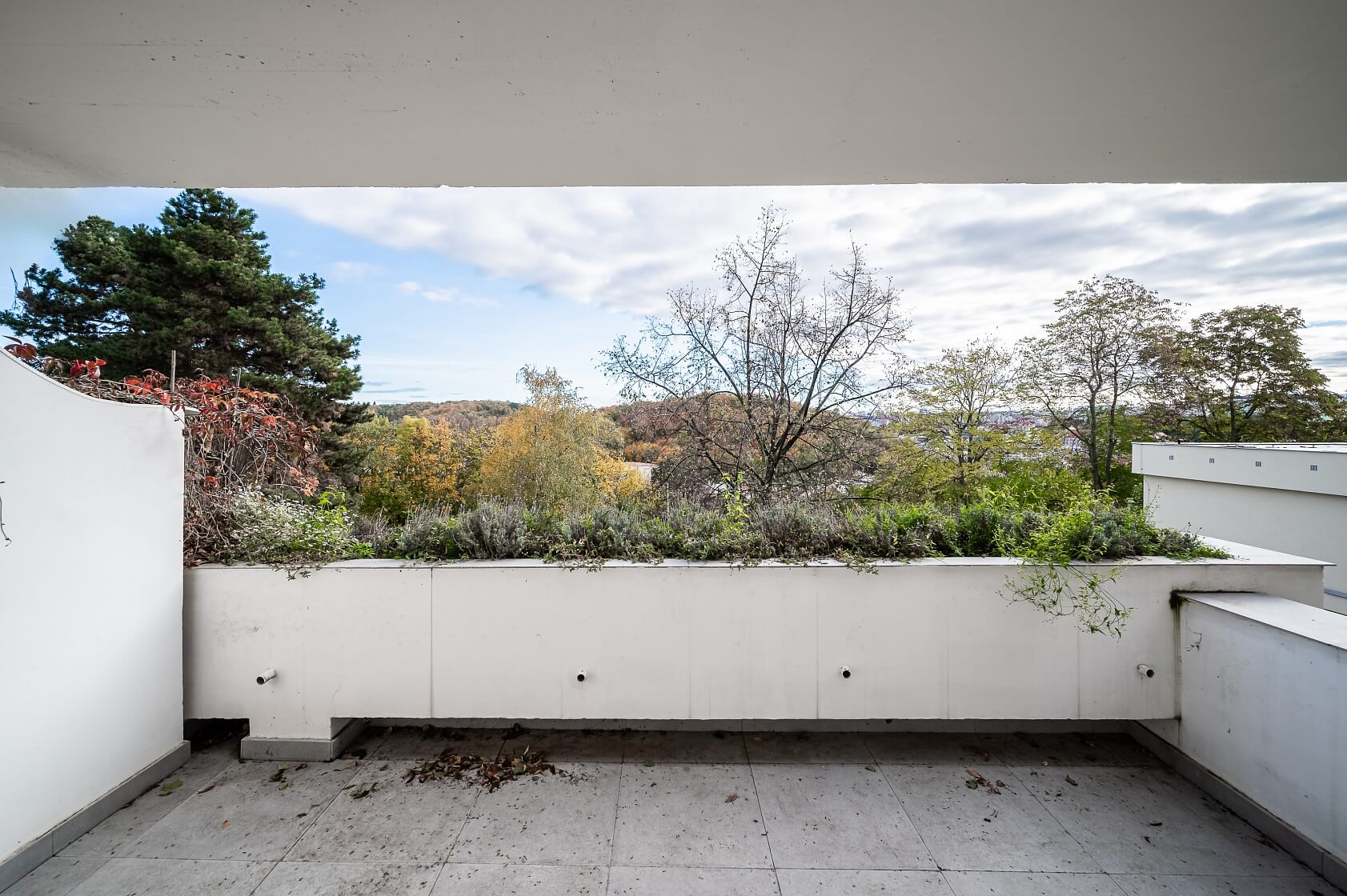 Družstevní ochoz, Michle - Praha 4 | Prodej, Byt 3+1, 117 m²