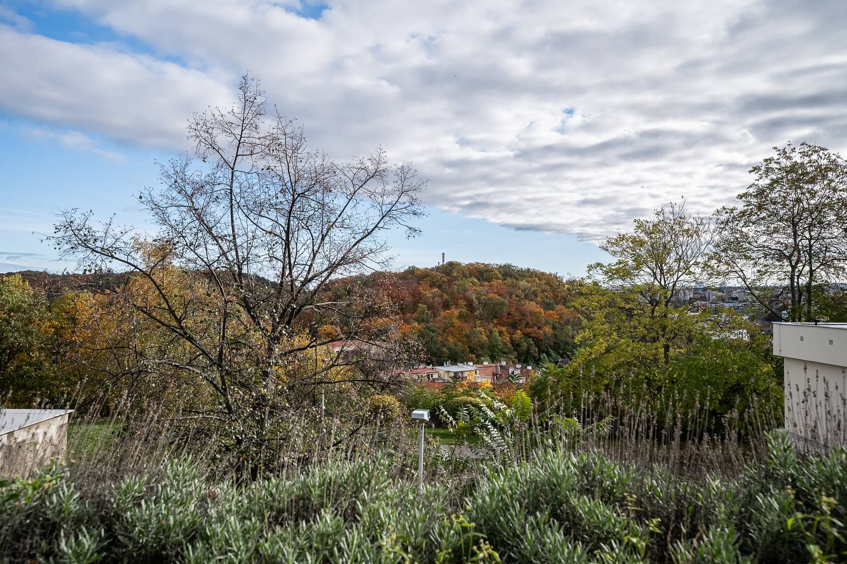 Družstevní ochoz, Michle - Praha 4 | Prodej, Byt 3+1, 117 m²