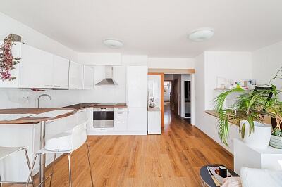 Žerotínova, Žižkov - Praha 3 | Prodej, Byt 4+kk, 140 m²