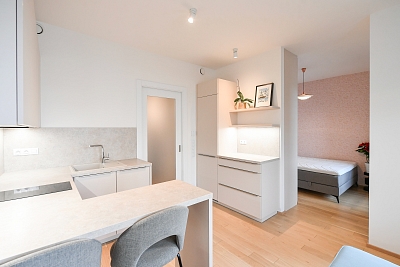 Jankovcova, Holešovice - Praha 7 | Pronájem, Byt 1+kk, 38 m²