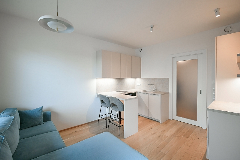 Jankovcova, Holešovice - Prague 7 | Rent, Apartment Studio (1+kk), 38 m²