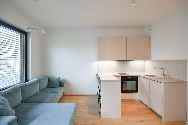 Jankovcova, Holešovice - Praha 7 | Pronájem, Byt 1+kk, 38 m²