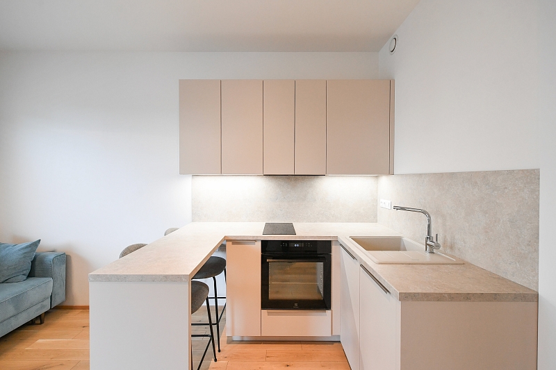 Jankovcova, Holešovice - Praha 7 | Pronájem, Byt 1+kk, 38 m²