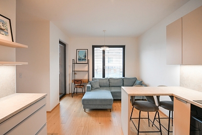 Jankovcova, Holešovice - Praha 7 | Pronájem, Byt 1+kk, 38 m²
