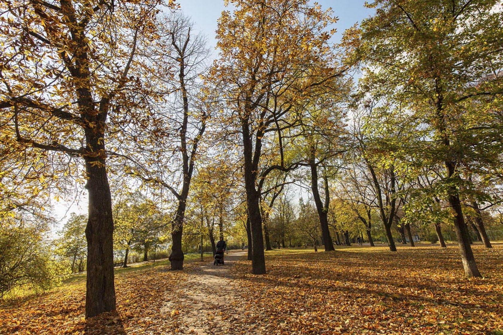 Kamenická, Holešovice - Prague 7 | Rent, Apartment Two-bedroom (3+kk), 73 m²