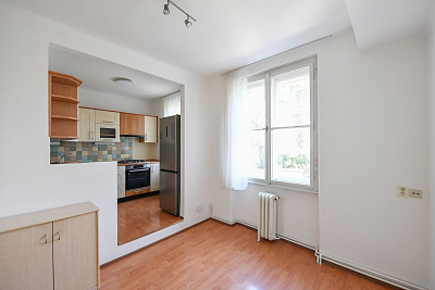 Bubenečská, Bubeneč - Prague 6 | Rent, Apartment Four-bedroom (5+1), 156 m²