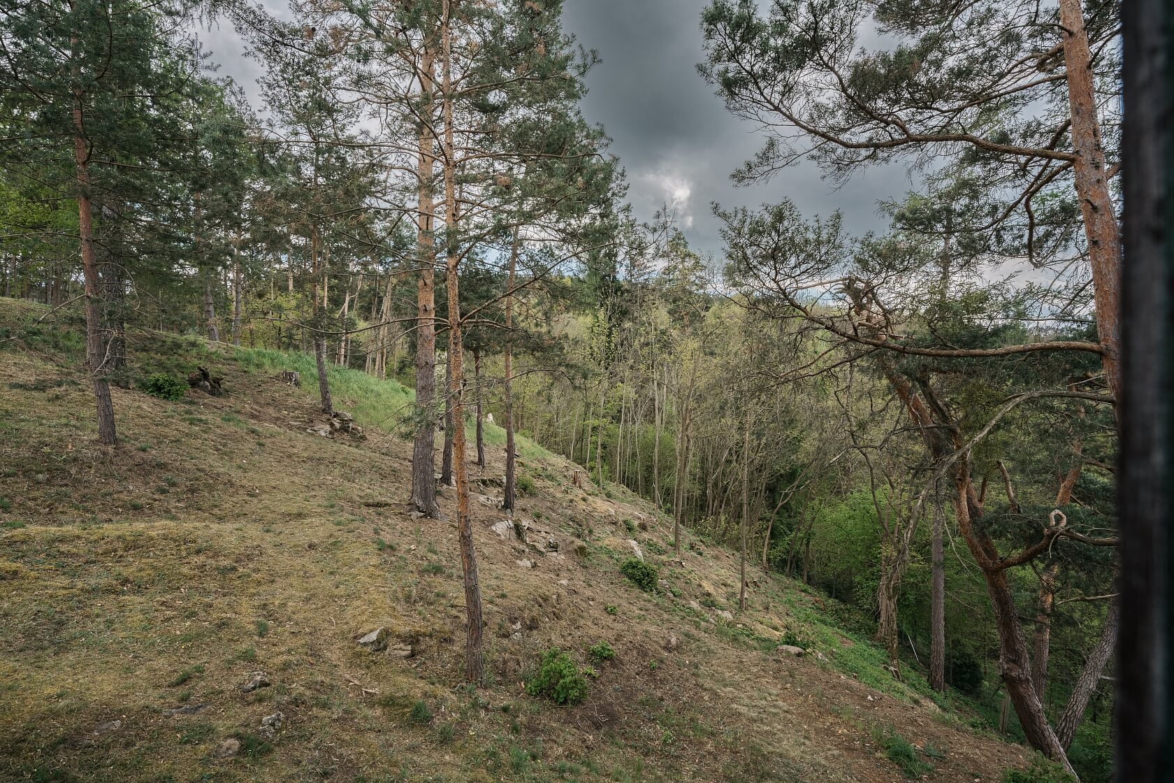Kamýk nad Vltavou - Příbram | Prodej, Pozemek, 1 667 m²