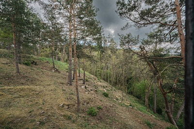 Kamýk nad Vltavou - Příbram | Prodej, Pozemek, 1 667 m²