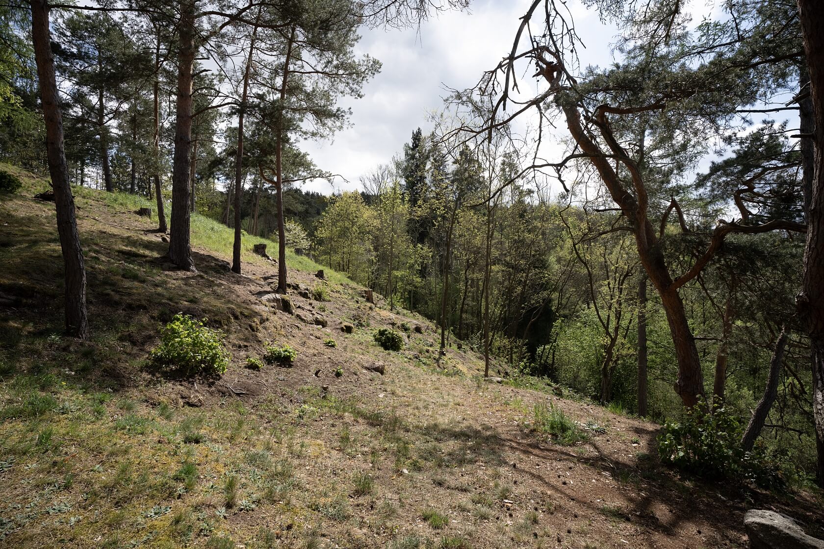 Kamýk nad Vltavou - Příbram | Sale, Land, 1 667 m²