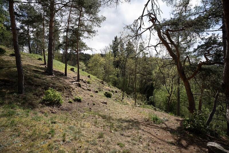 Kamýk nad Vltavou - Příbram | Prodej, Pozemek, 1 667 m²