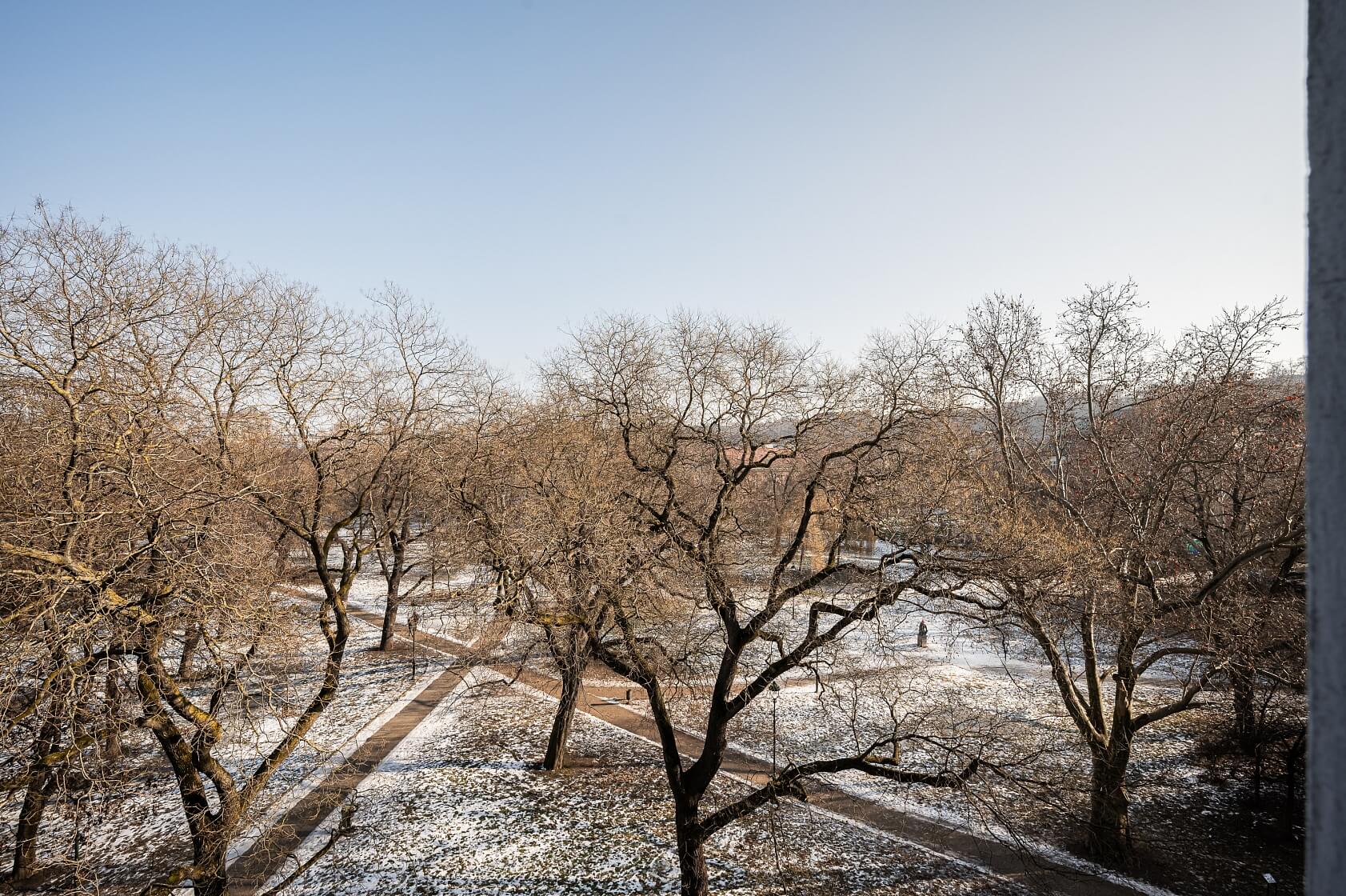 Kaizlovy sady, Karlín - Praha 8 | Pronájem, Byt 2+kk, 57 m²