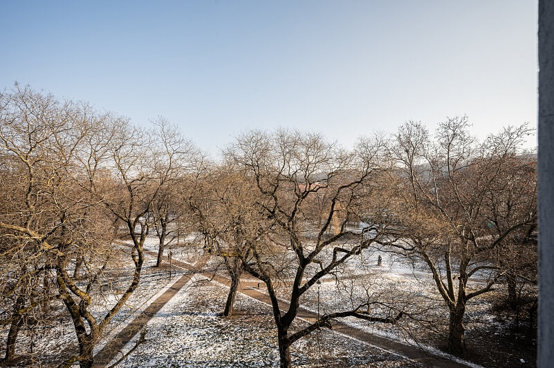 Kaizlovy sady, Karlín - Prague 8 | Rent, Apartment One-bedroom (2+kk), 57 m²