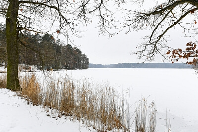 Hostíkovice, Holany - Česká Lípa | Prodej, Pozemek, 1 313 m²
