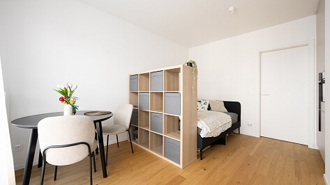 Bratislavská, Brno - Brno-město | Rent, Apartment Studio (1+kk), 24 m²